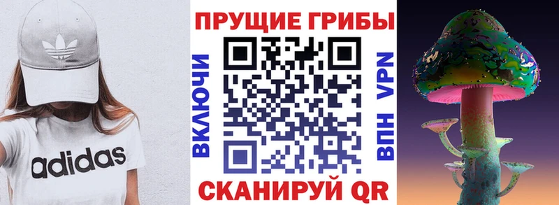 Псилоцибиновые грибы ЛСД  Ленинск-Кузнецкий 